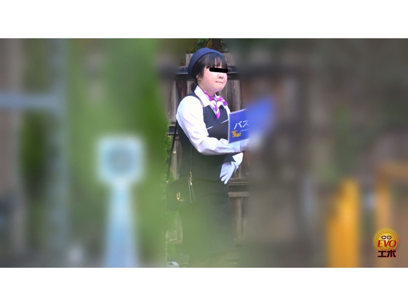 観光地隠撮 美人バスガイドさんの極太うんこ百景