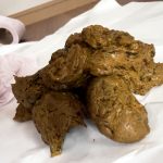 私と一緒にトイレに行きましょう 伊藤のり子