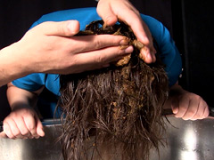 糞洗髪 雁坂えみ